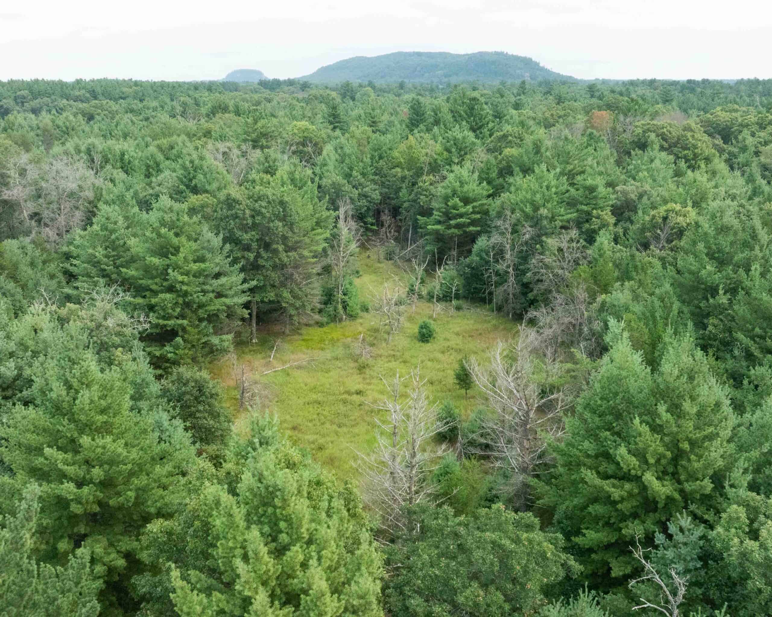 Rare opportunity to own 17.54 wooded acres within the City of Adams
