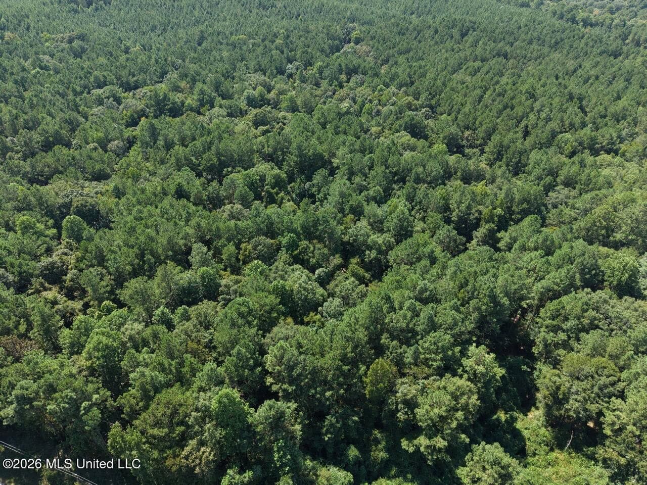FRANKLIN COUNTY LAND FOR SALE NEAR McCALL CREEK