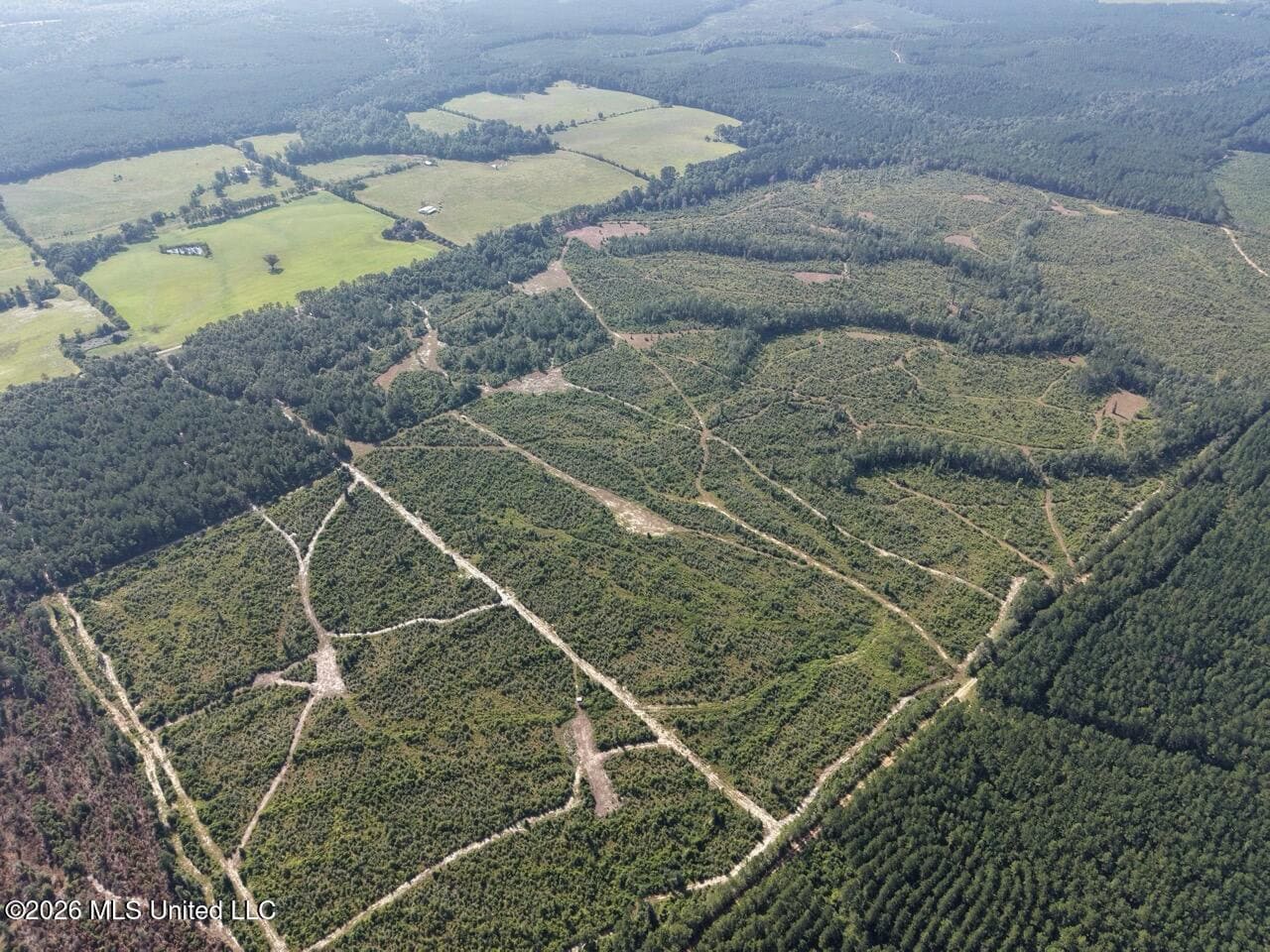 50± Acre Homesite & Hunting Land in Plainview, LA