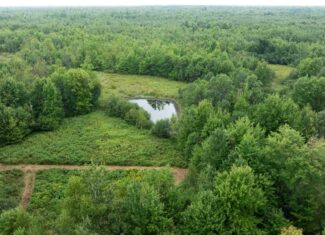 Juneau County WI 80 Acre Camp For Sale
