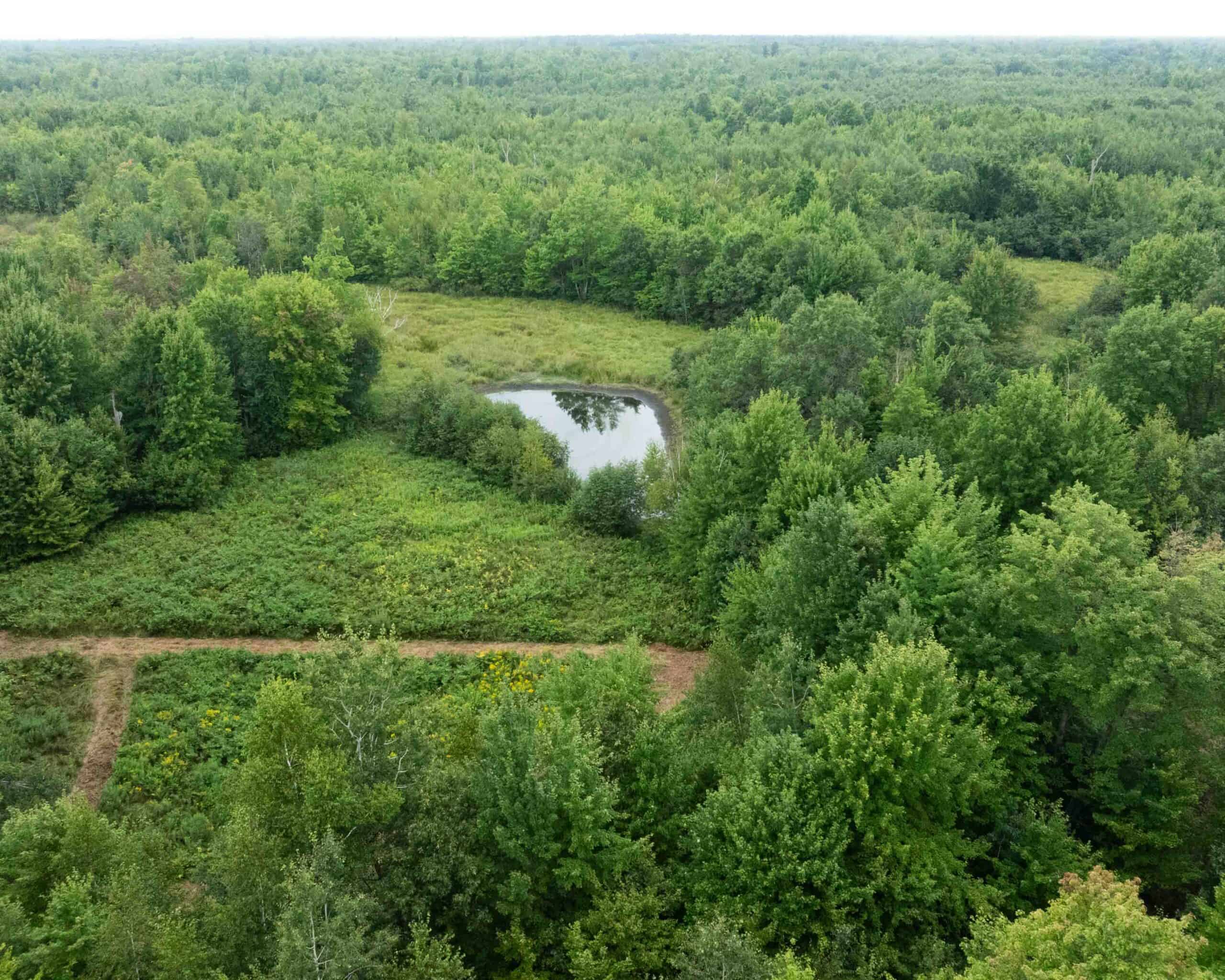 Juneau County WI 80 Acre Camp For Sale