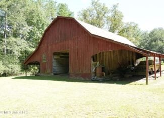 20 Acres for Sale Magnolia MS with Barn & Mature Timber