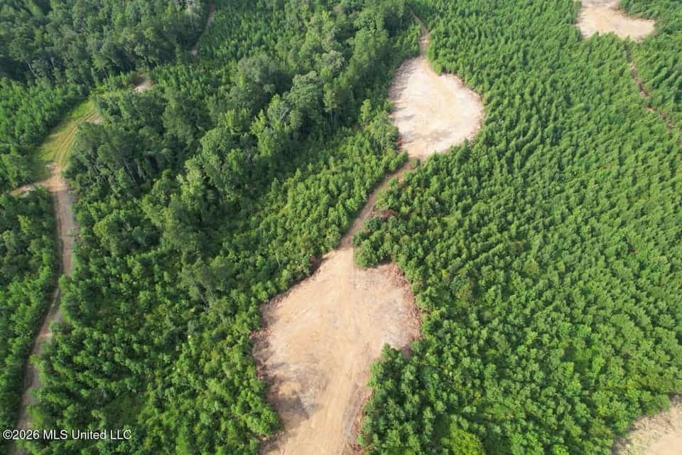 90± Acre Hunting Tract for Sale in Meadville, MS