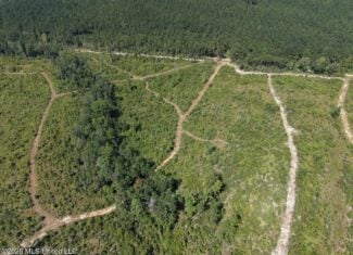 42± Acre Homesite & Hunting Land in Plainview, LA