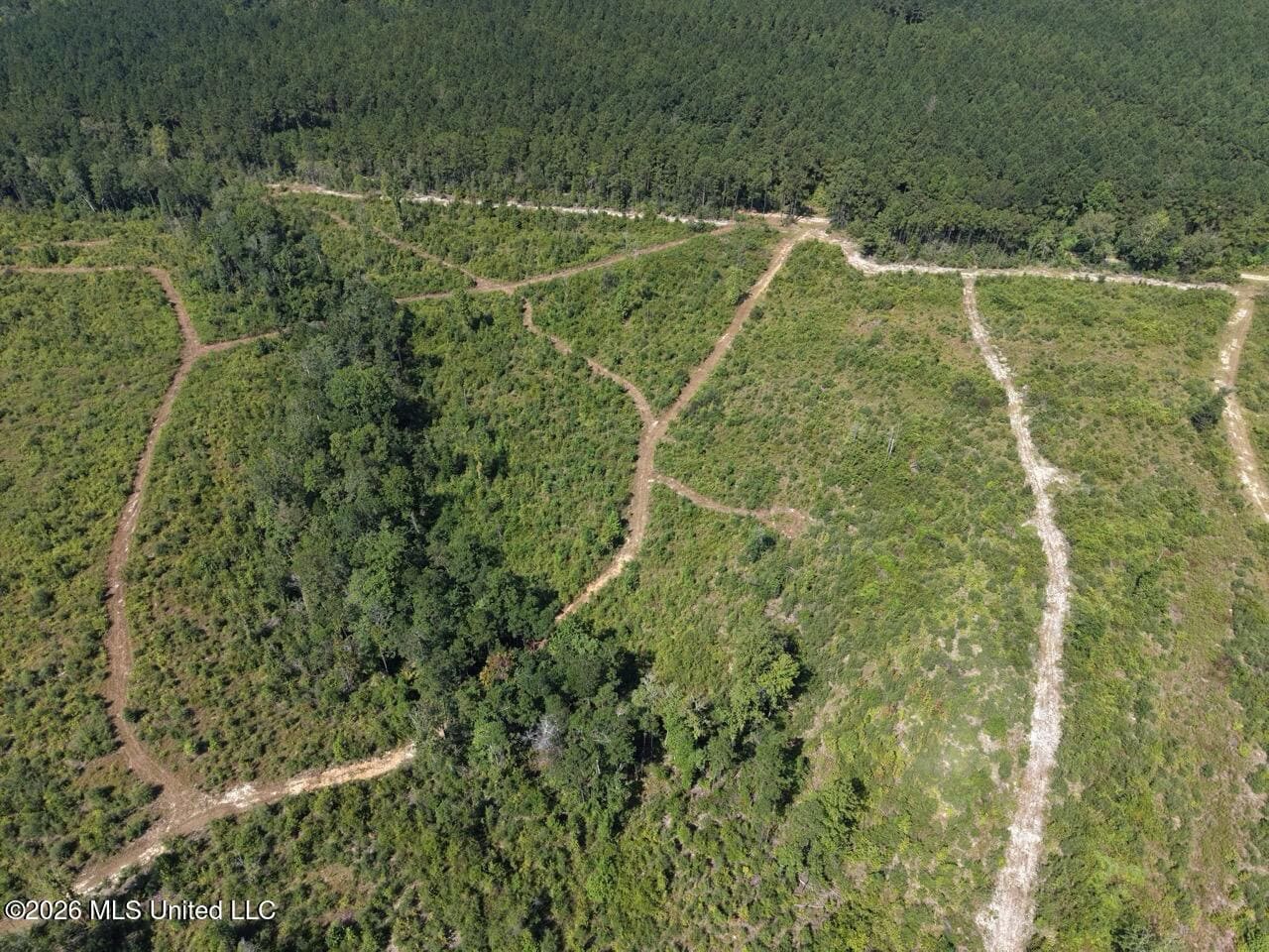42± Acre Homesite & Hunting Land in Plainview, LA