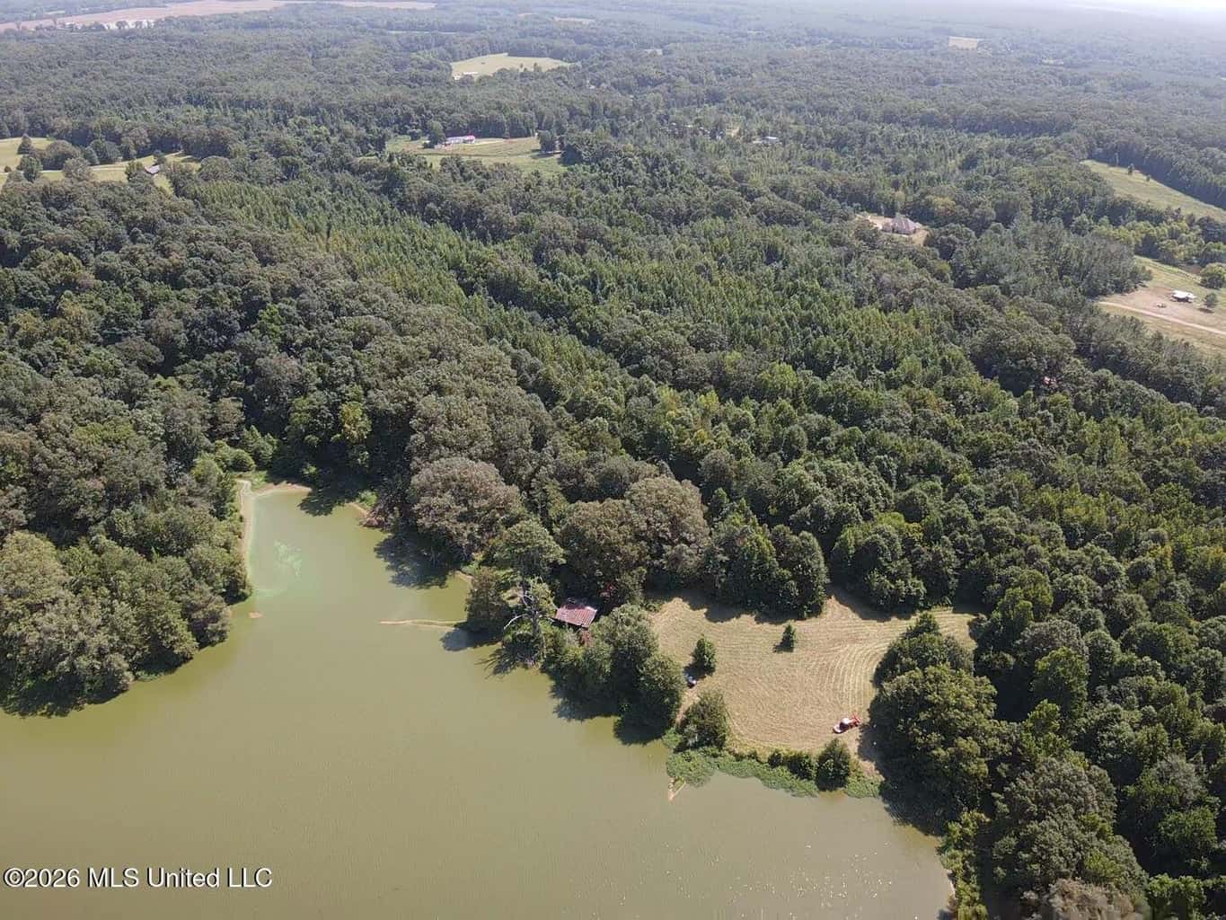 81-Acre Timber Property on 20-Acre Lake in Vaughan, MS
