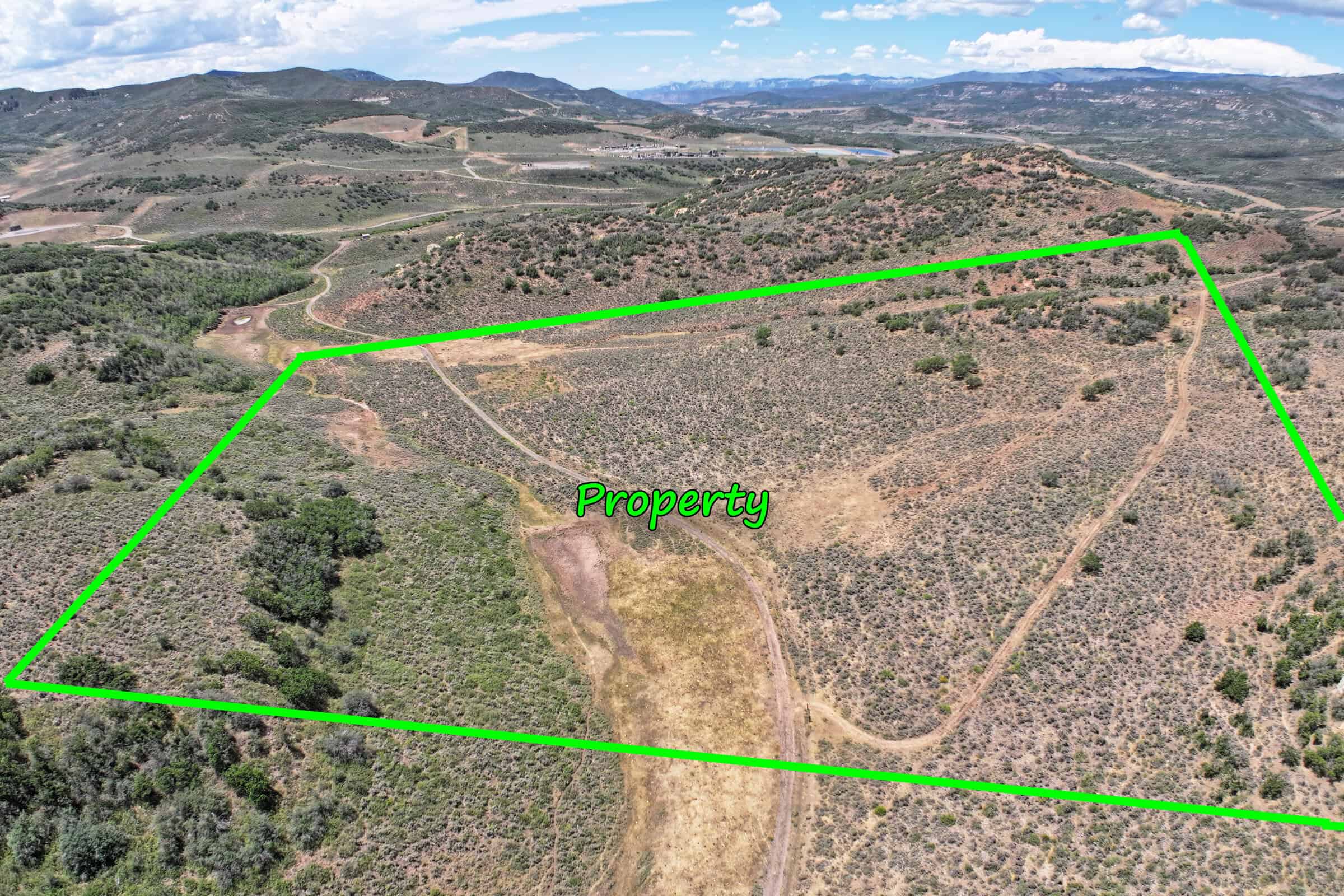 35 Acres Borders Public Land near Collbran, CO