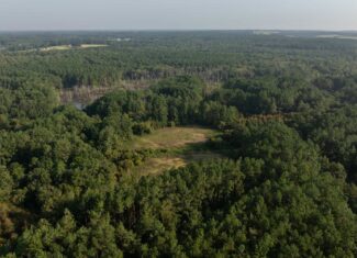 East TX Hunting Land for Sale | 327 Acres | River & Duck Slough | Laneville TX