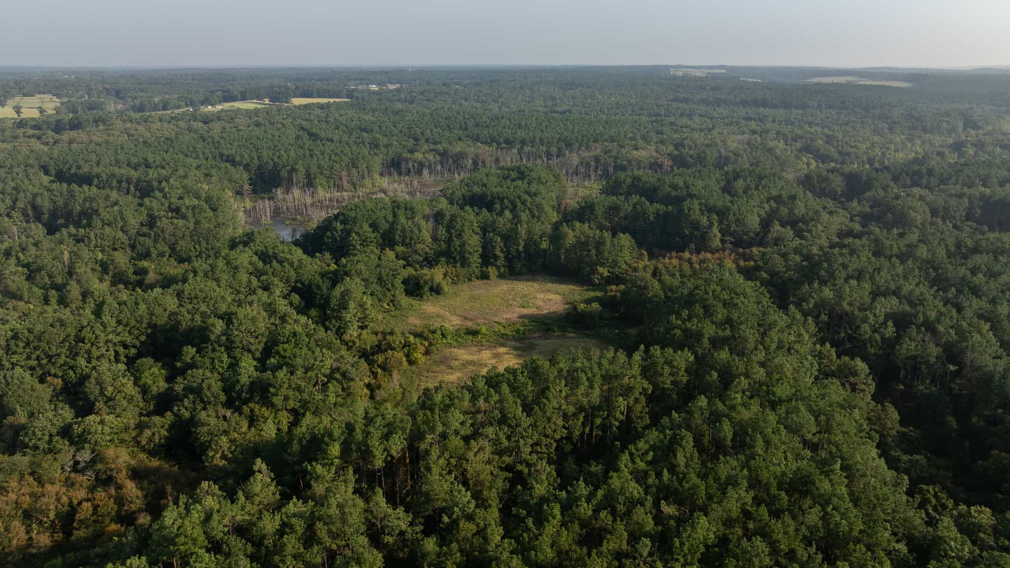 East TX Hunting Land for Sale | 327 Acres | River & Duck Slough | Laneville TX