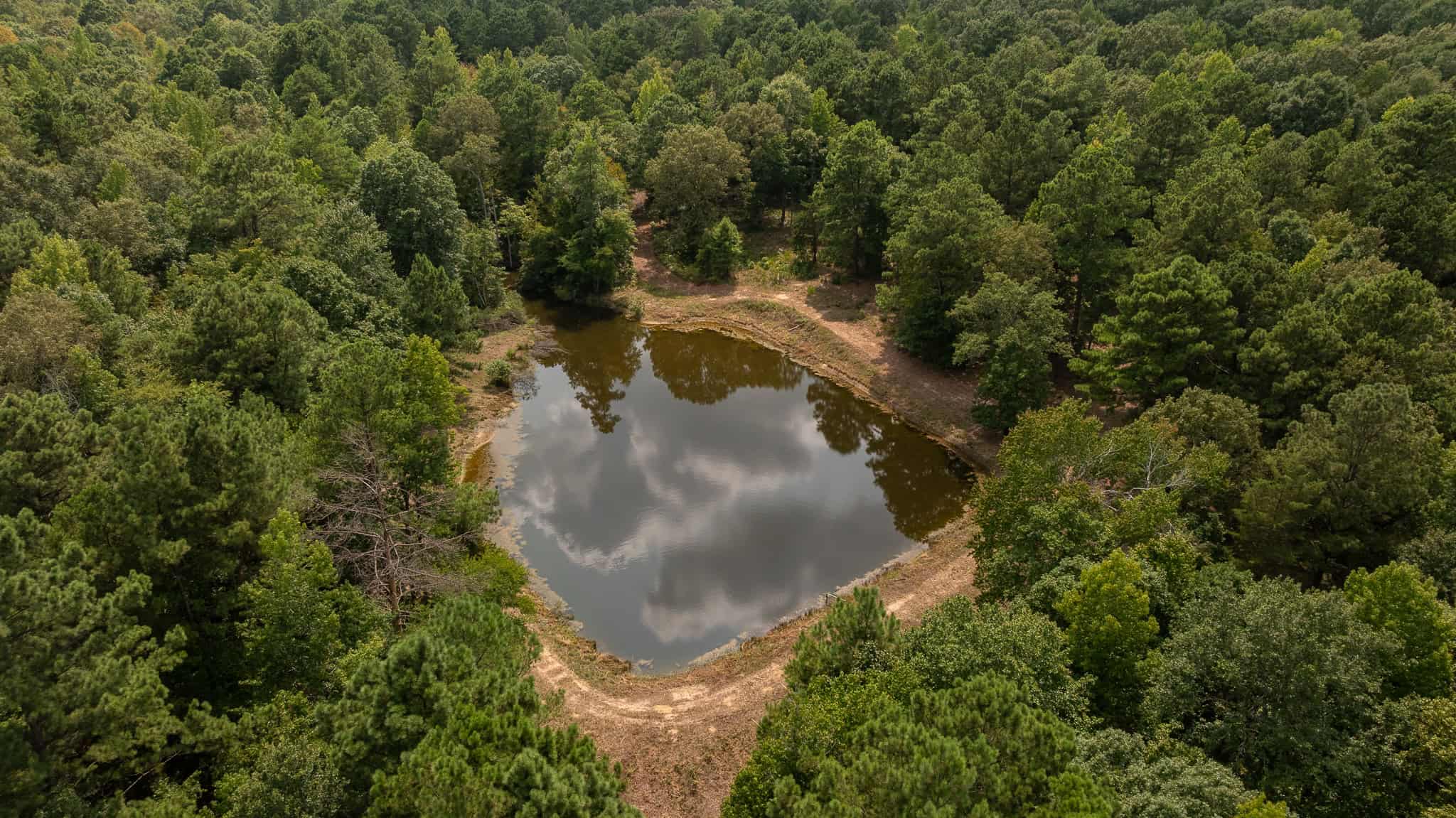 East Texas Hunting & Timber Land for Sale in Smith County