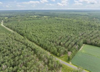 42-Acre Timber & Hunting Land for Sale in Edward, NC