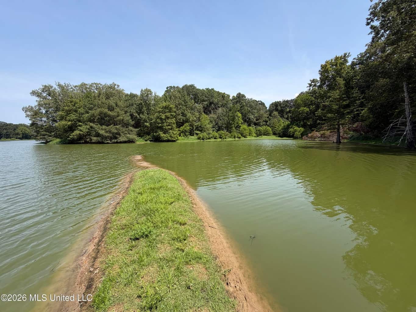 81-Acre Timber Property on 20-Acre Lake in Vaughan, MS