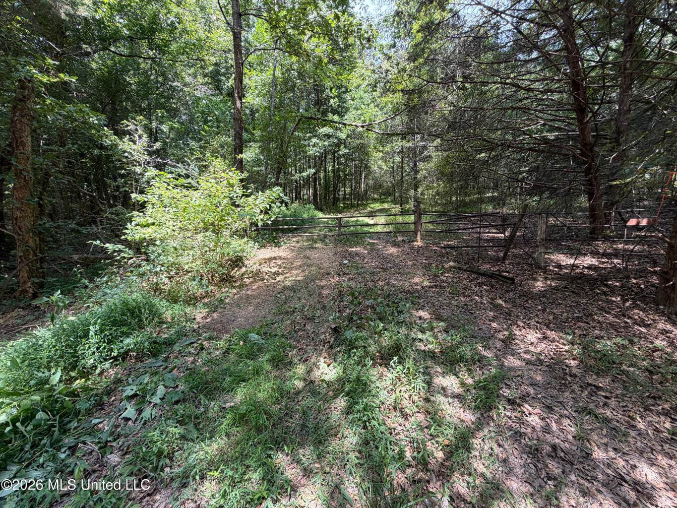 81-Acre Timber Property on 20-Acre Lake in Vaughan, MS