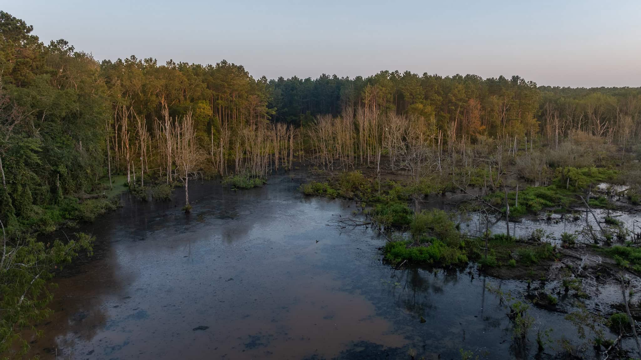 East TX Hunting Land for Sale | 327 Acres | River & Duck Slough | Laneville TX