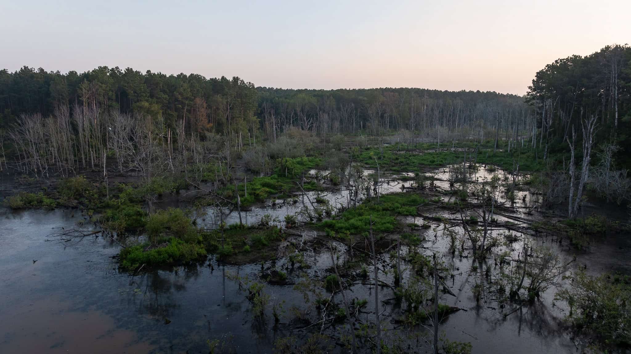 East TX Hunting Land for Sale | 327 Acres | River & Duck Slough | Laneville TX
