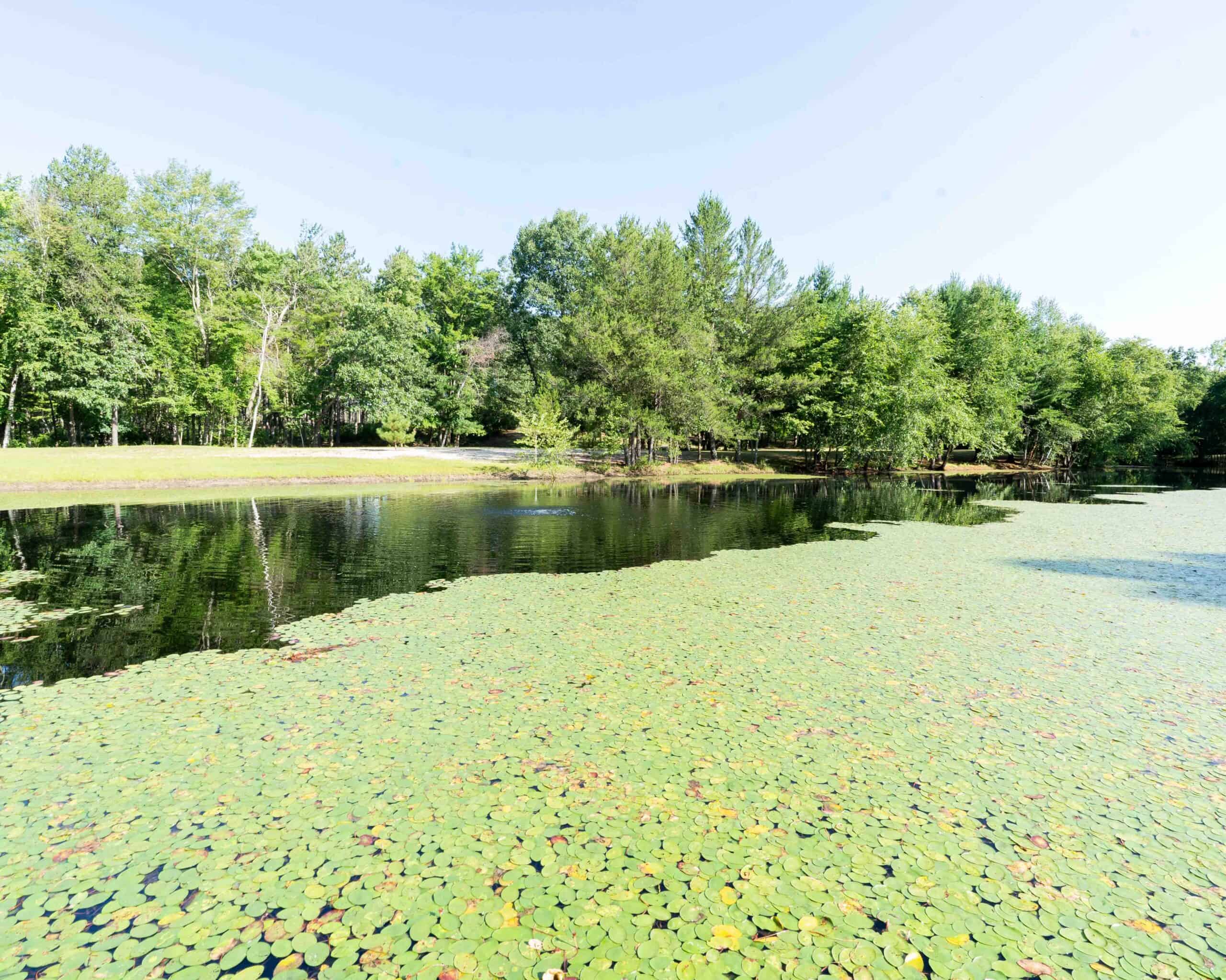 150+/- Acre Juneau County Hunting & Recreational Estate Home, Pond & Outdoor Retreat