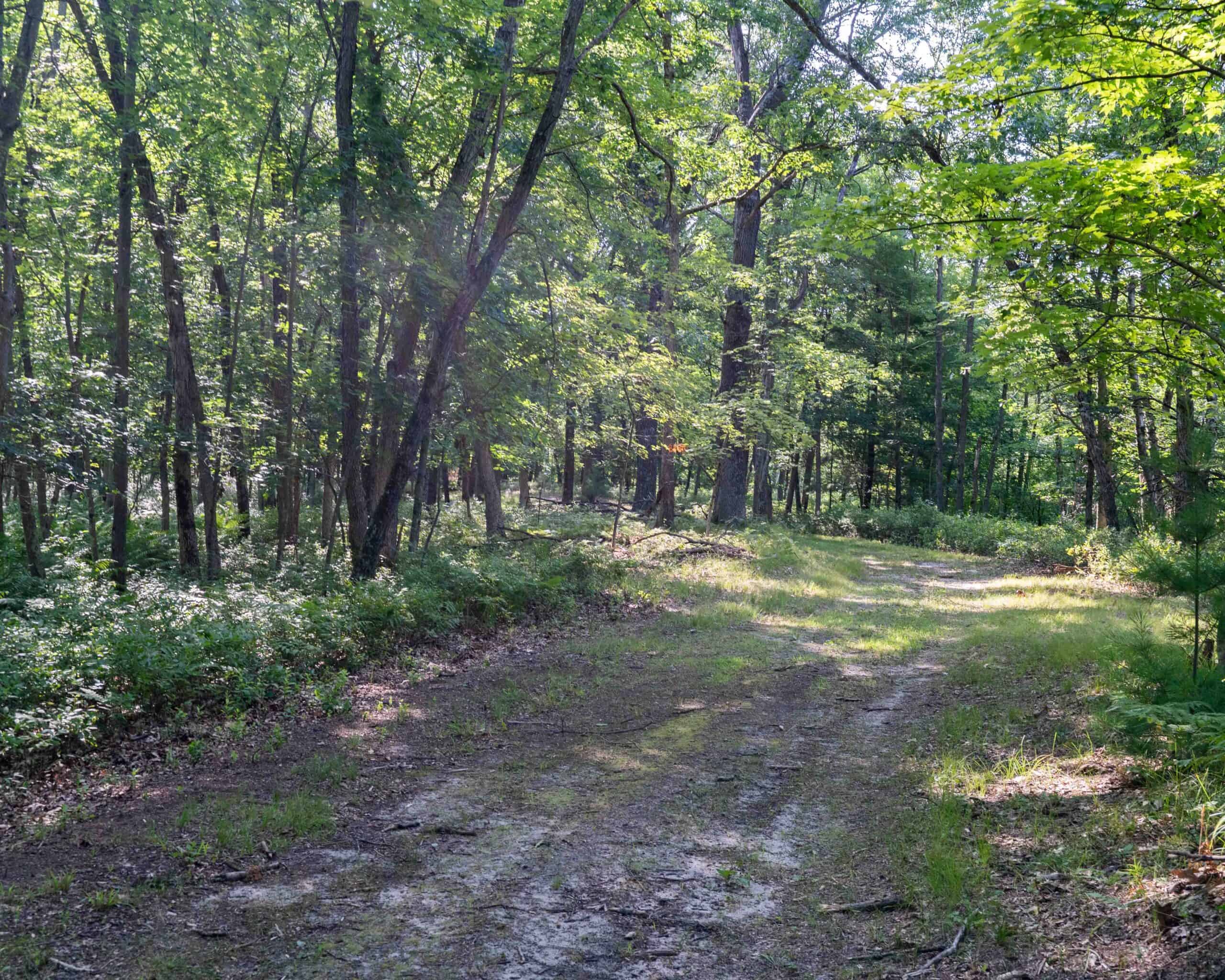 150+/- Acre Juneau County Hunting & Recreational Estate Home, Pond & Outdoor Retreat