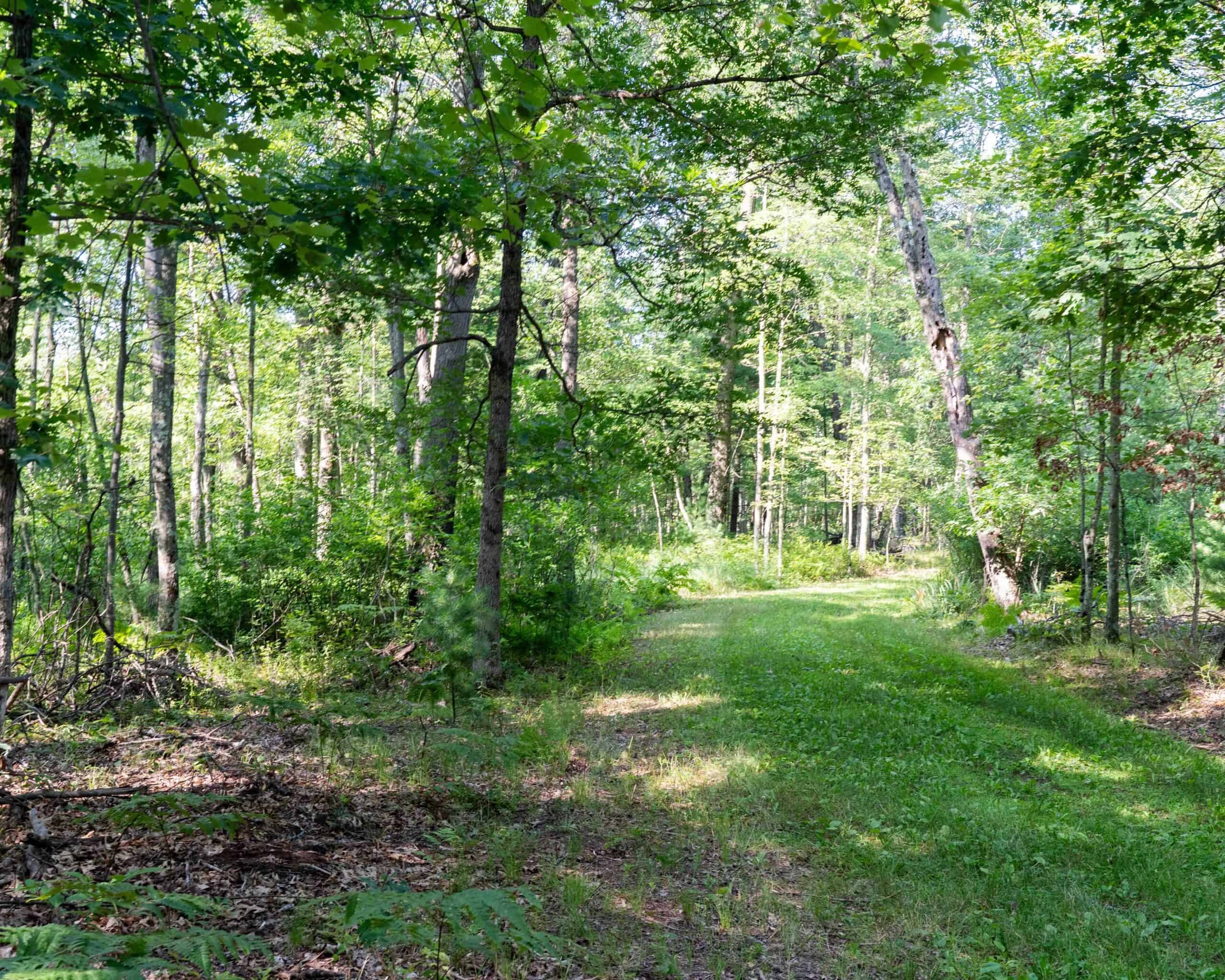 150+/- Acre Juneau County Hunting & Recreational Estate Home, Pond & Outdoor Retreat