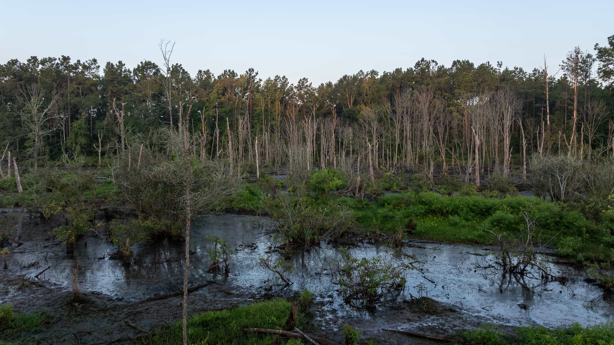 East TX Hunting Land for Sale | 327 Acres | River & Duck Slough | Laneville TX