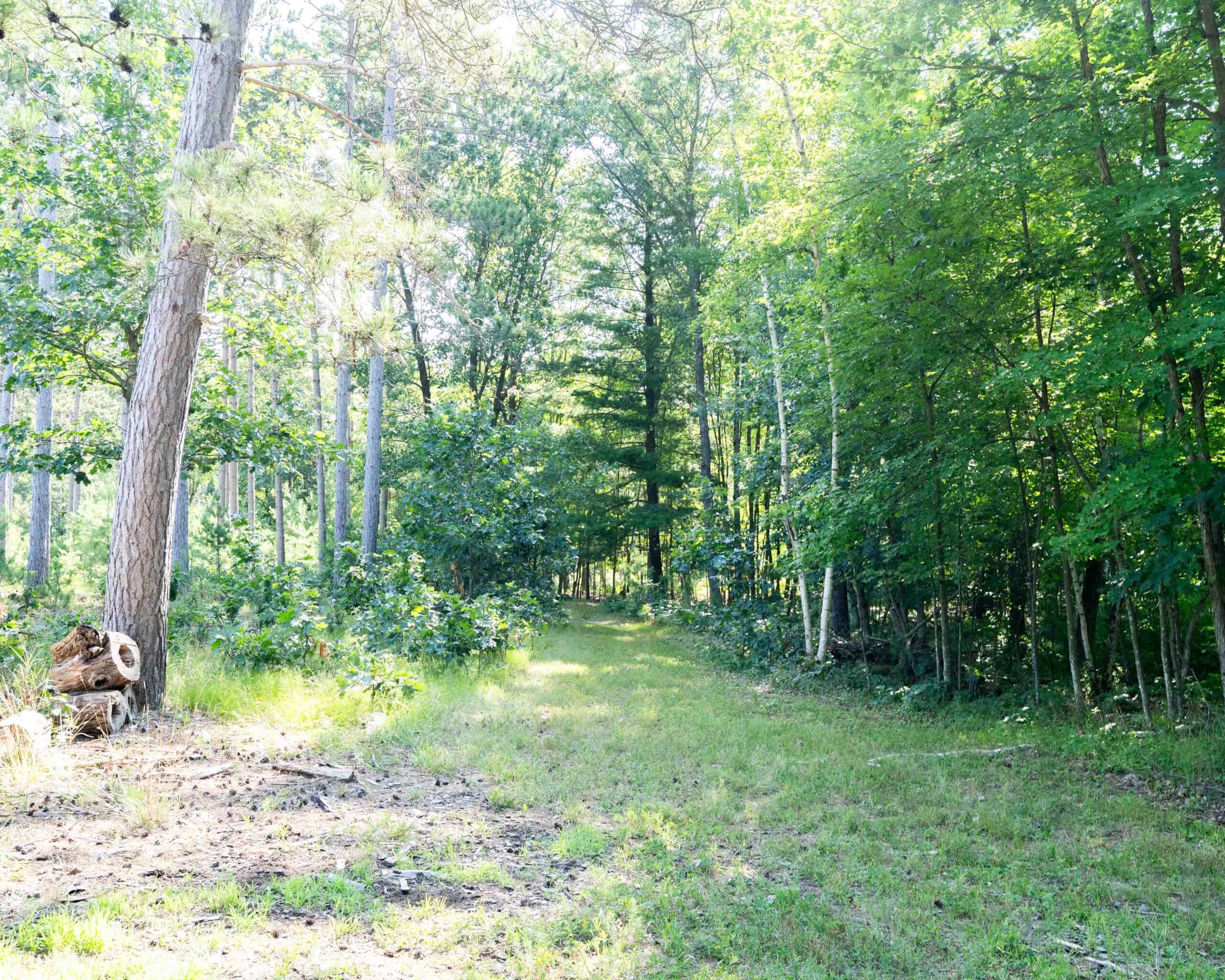 150+/- Acre Juneau County Hunting & Recreational Estate Home, Pond & Outdoor Retreat
