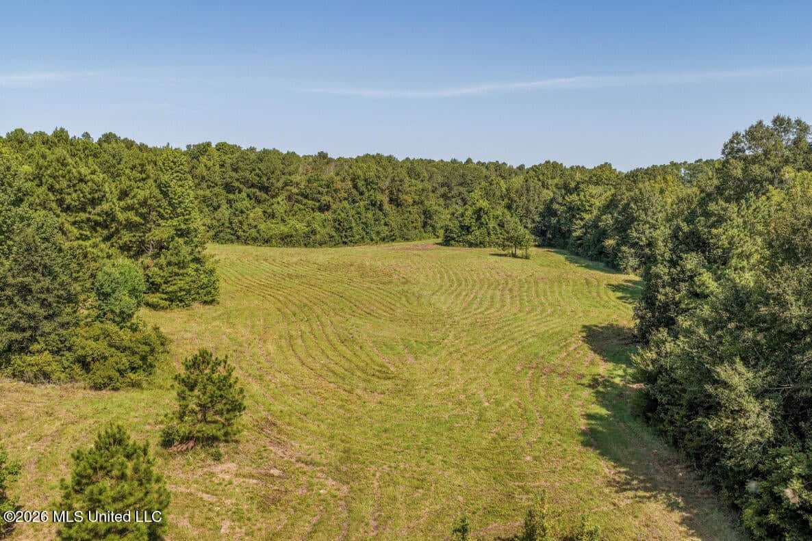 52.25± Acres in Copiah County, MS Near Hazlehurst