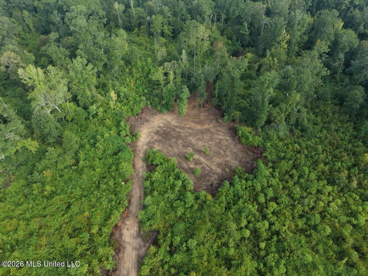 82± Acre Hunting Property in Wilkinson County, MS