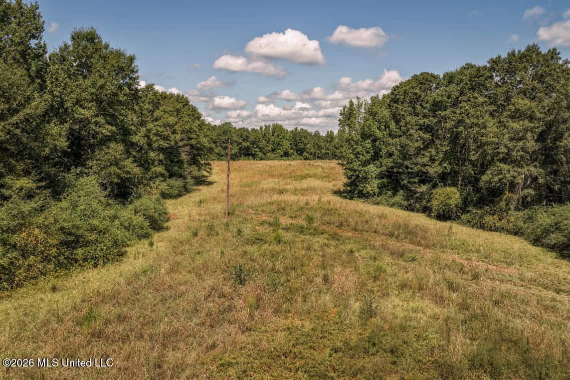 HWY 49 Land for Sale Simpson County, MS