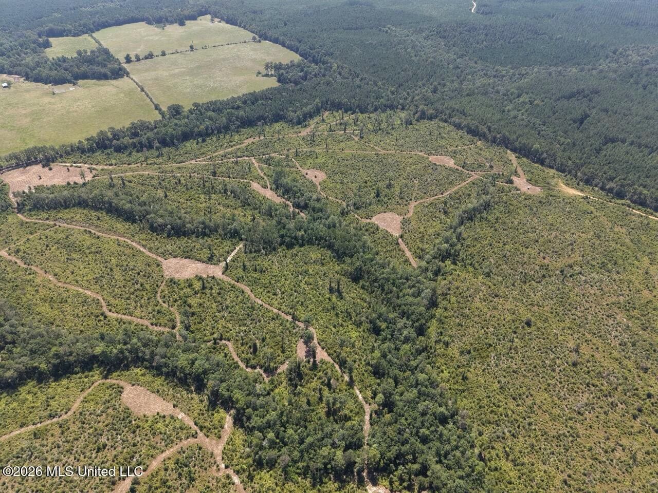 147± Acre Hunting Property in Plainview, LA