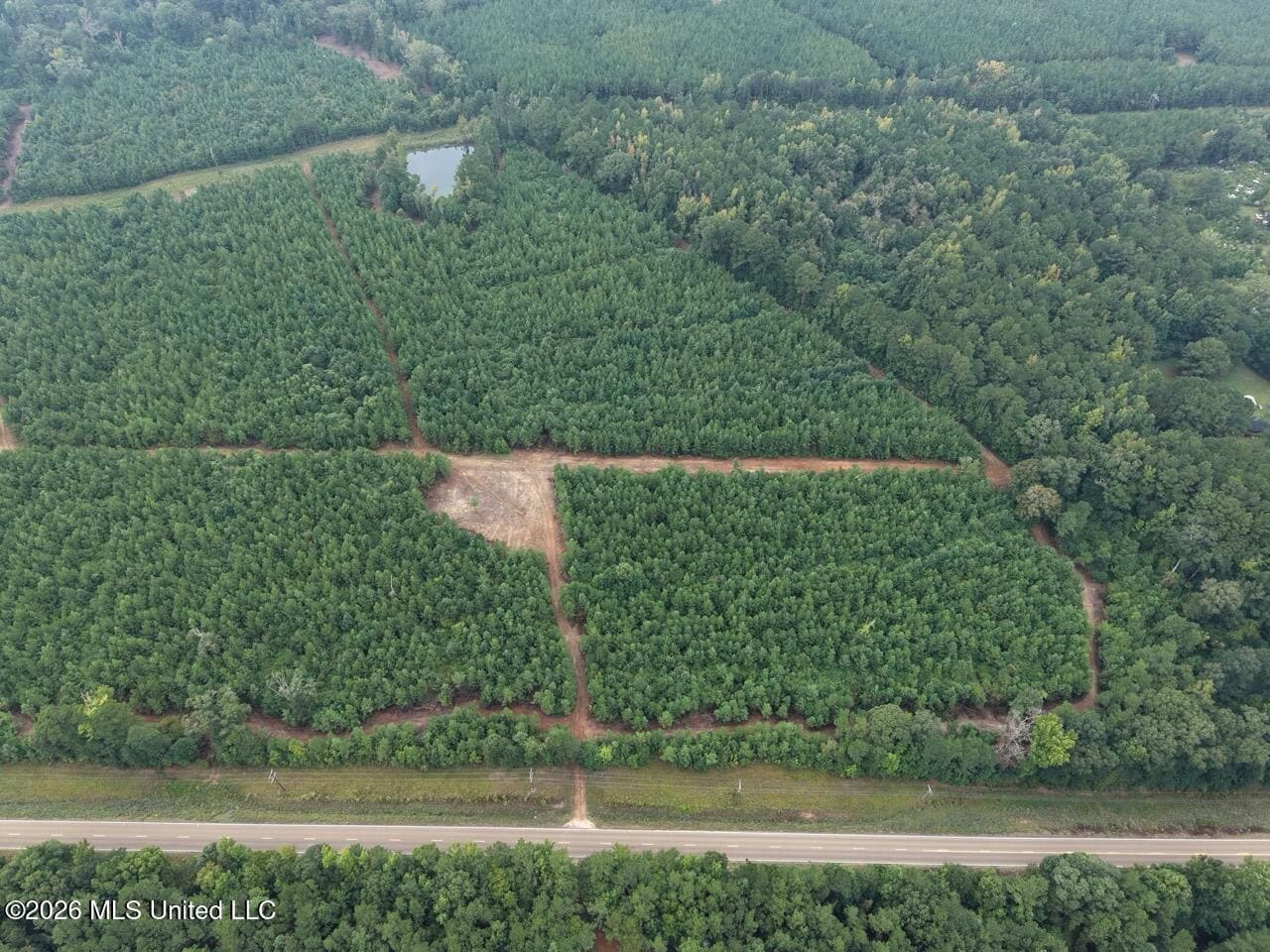 53± Acre Hunting Property Near Centreville, MS