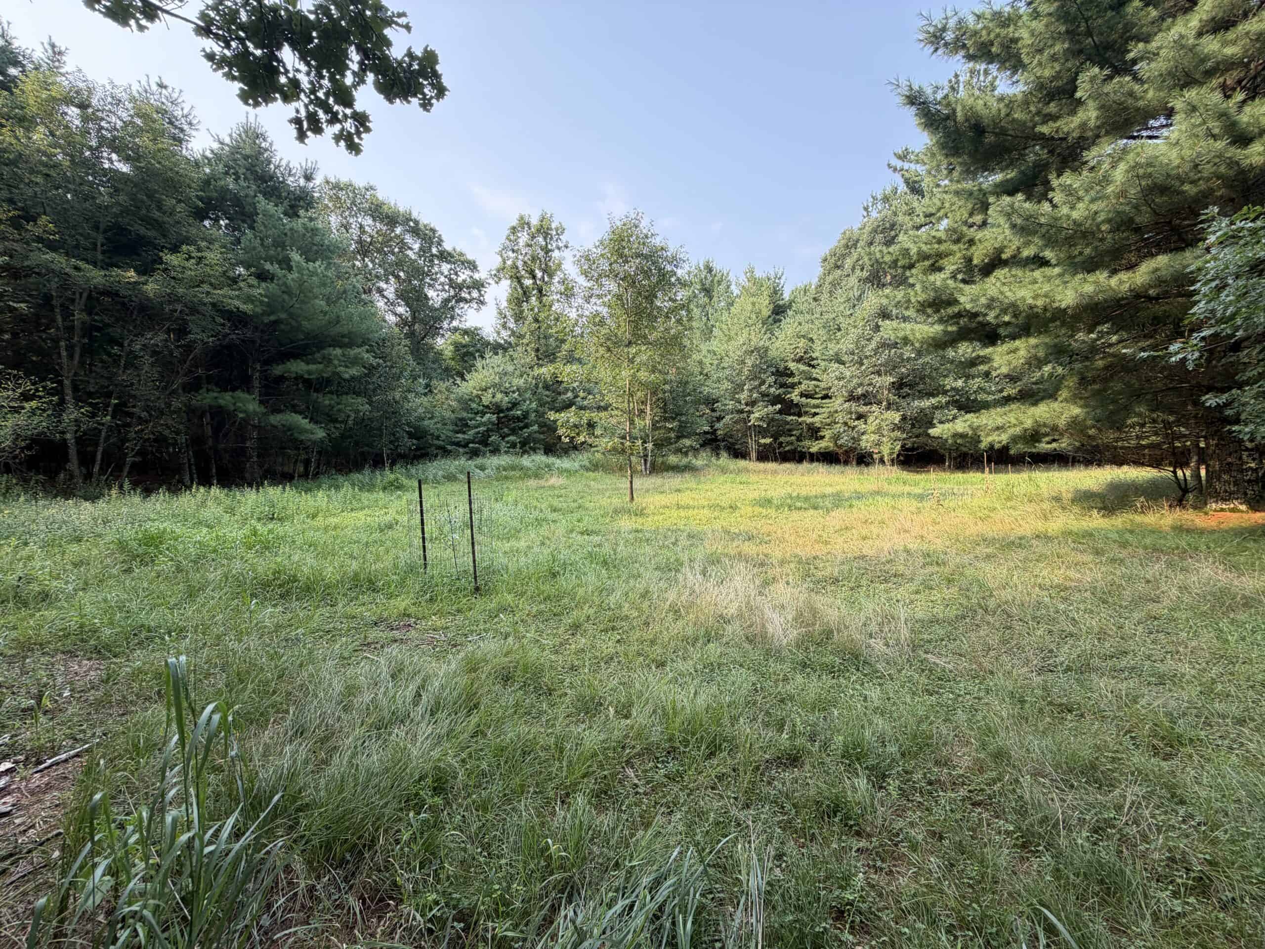 Rare opportunity to own 17.54 wooded acres within the City of Adams