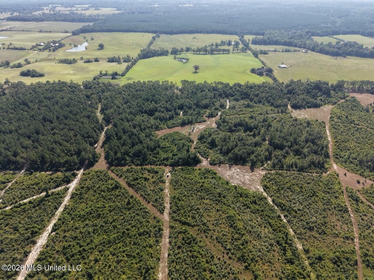 50± Acre Homesite & Hunting Land in Plainview, LA