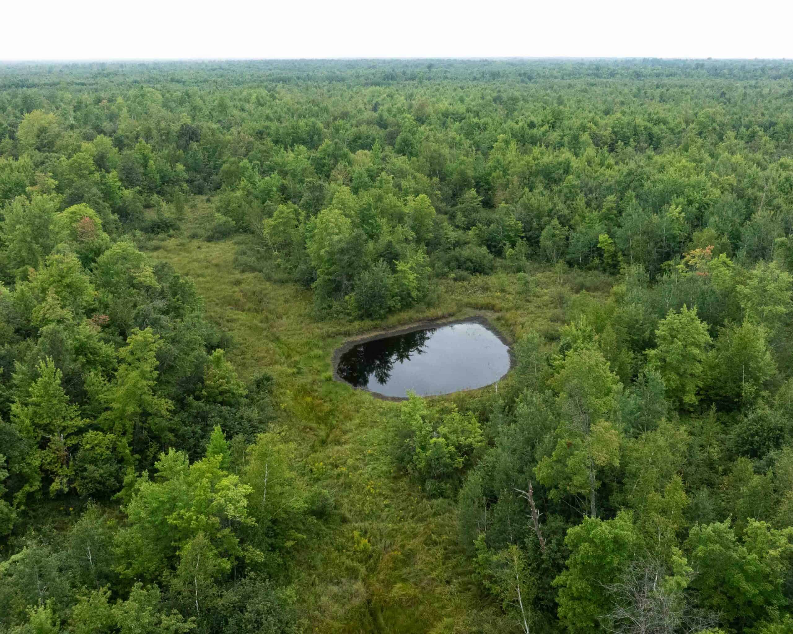 Juneau County WI 80 Acre Camp For Sale