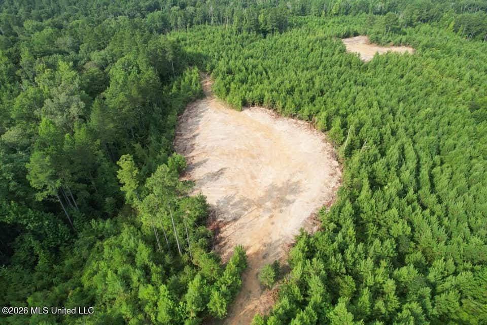 90± Acre Hunting Tract for Sale in Meadville, MS