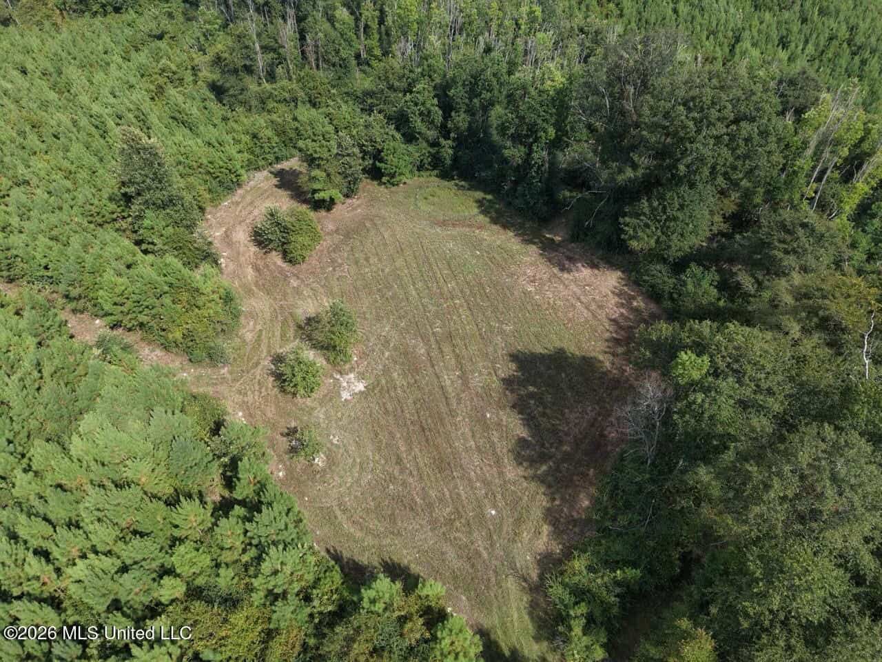85± Acre Turnkey Hunting Property in Amite County, MS