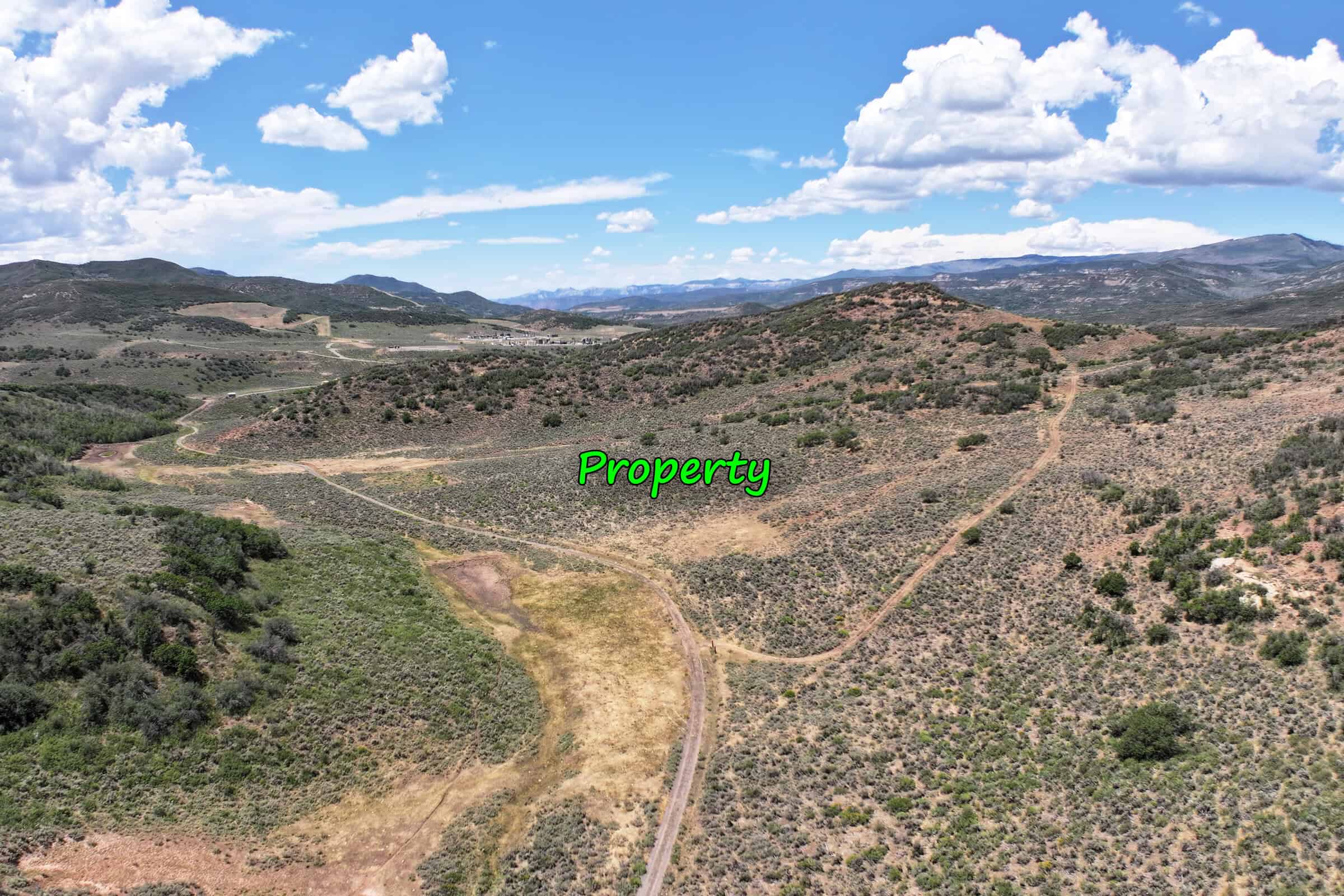 35 Acres Borders Public Land near Collbran, CO