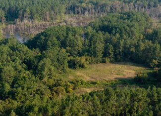 East TX Hunting Land for Sale | 327 Acres | River & Duck Slough | Laneville TX