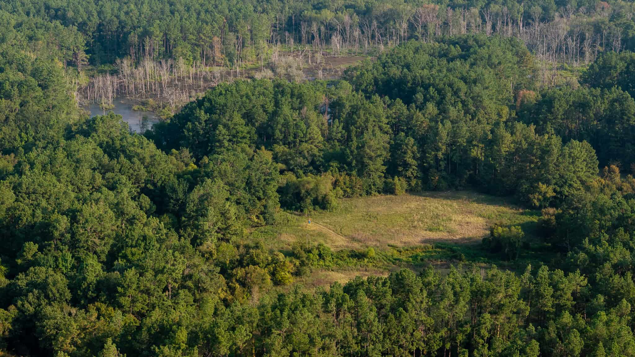 East TX Hunting Land for Sale | 327 Acres | River & Duck Slough | Laneville TX