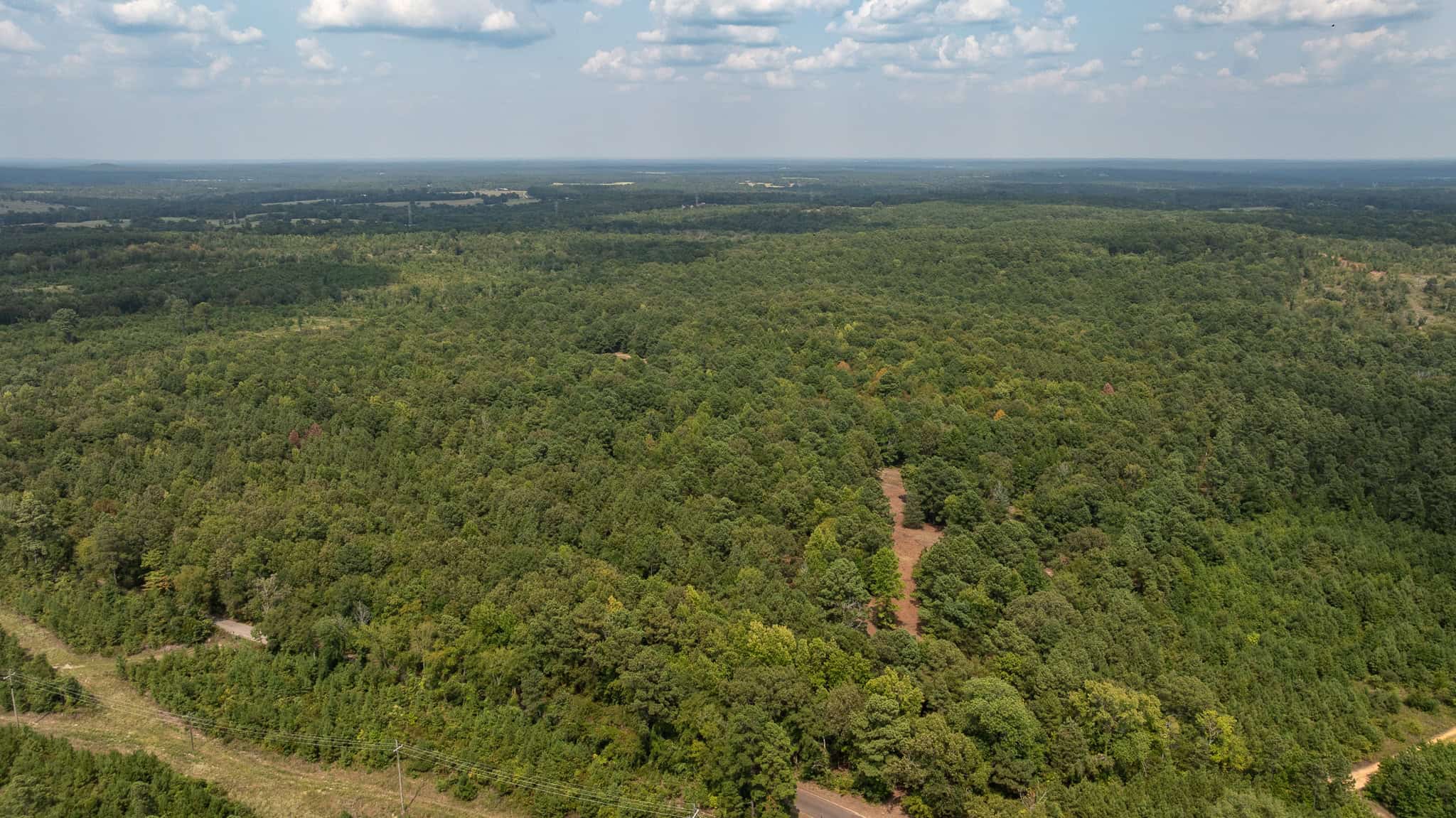 East Texas Hunting & Timber Land for Sale in Smith County