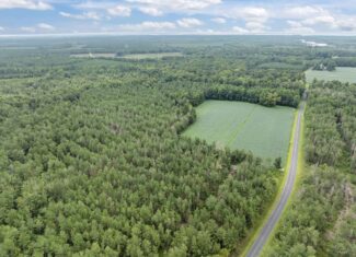 42-Acre Timber & Hunting Land for Sale in Edward, NC