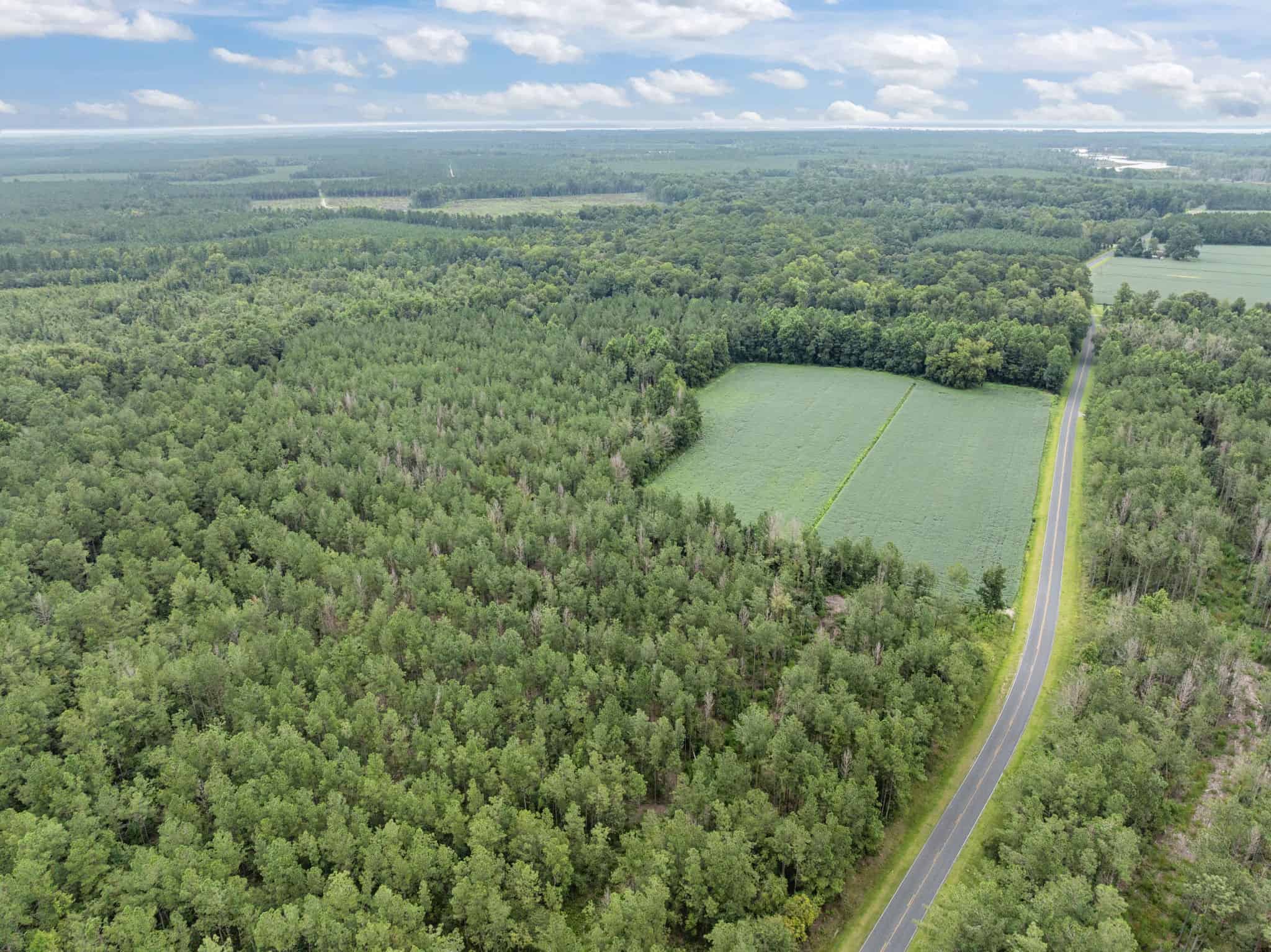 42-Acre Timber & Hunting Land for Sale in Edward, NC