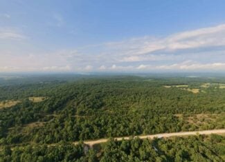 Hunting Land Near Bull Shoals Lake