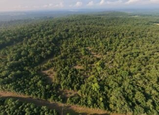 Hunting Land Near Bull Shoals Lake