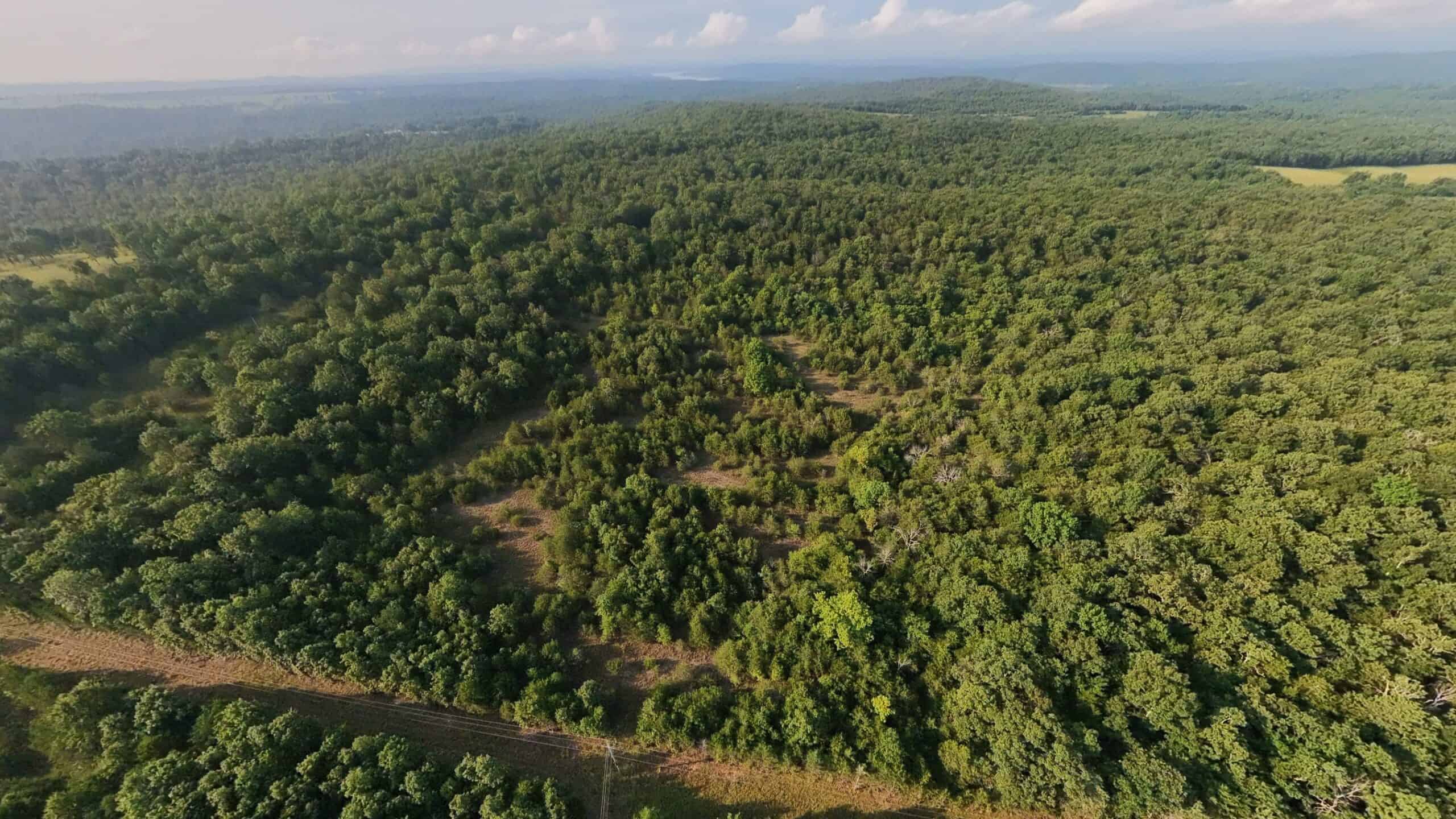 Hunting Land Near Bull Shoals Lake