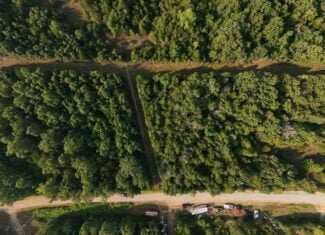 Hunting Land Near Bull Shoals Lake