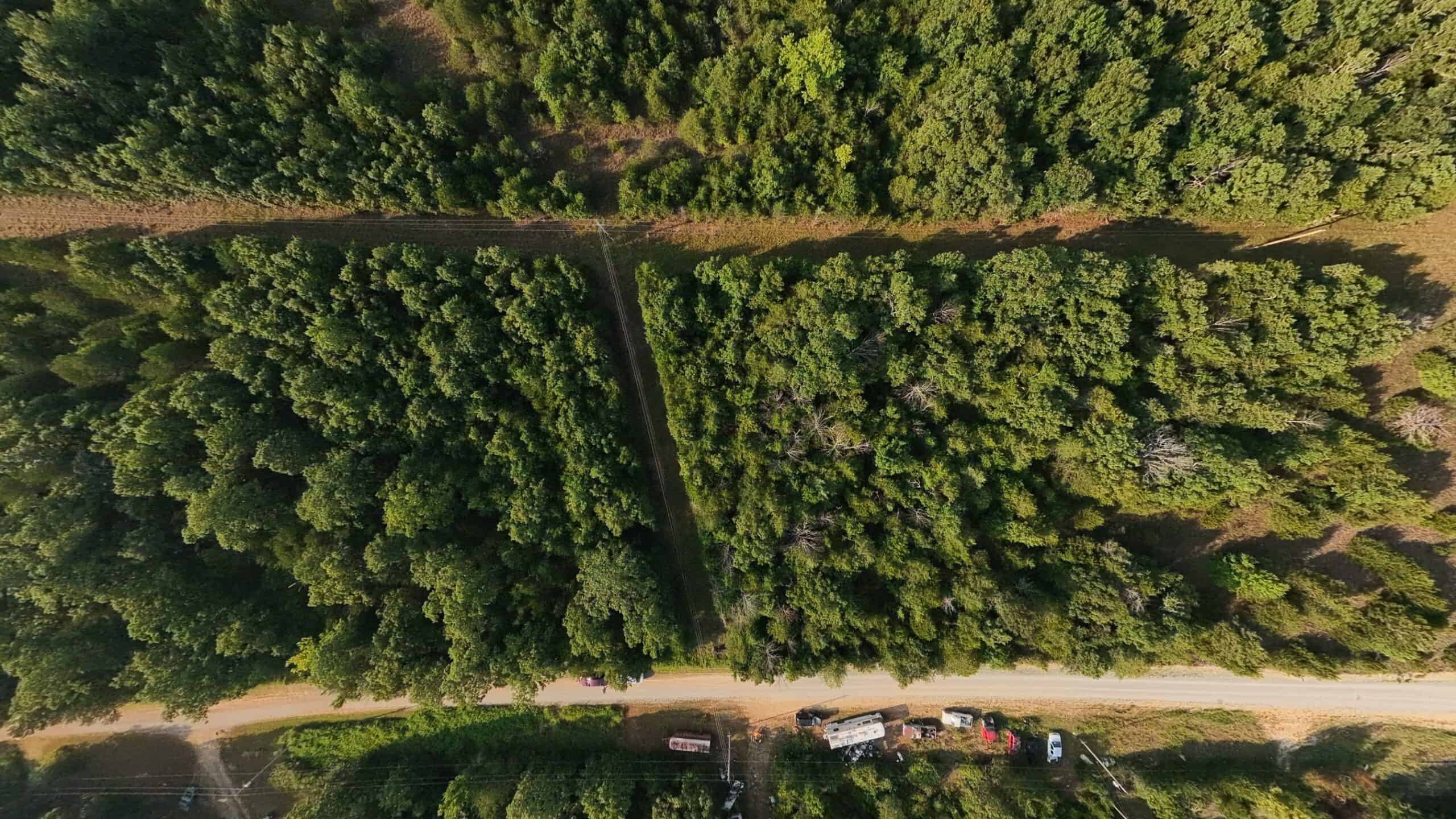 Hunting Land Near Bull Shoals Lake