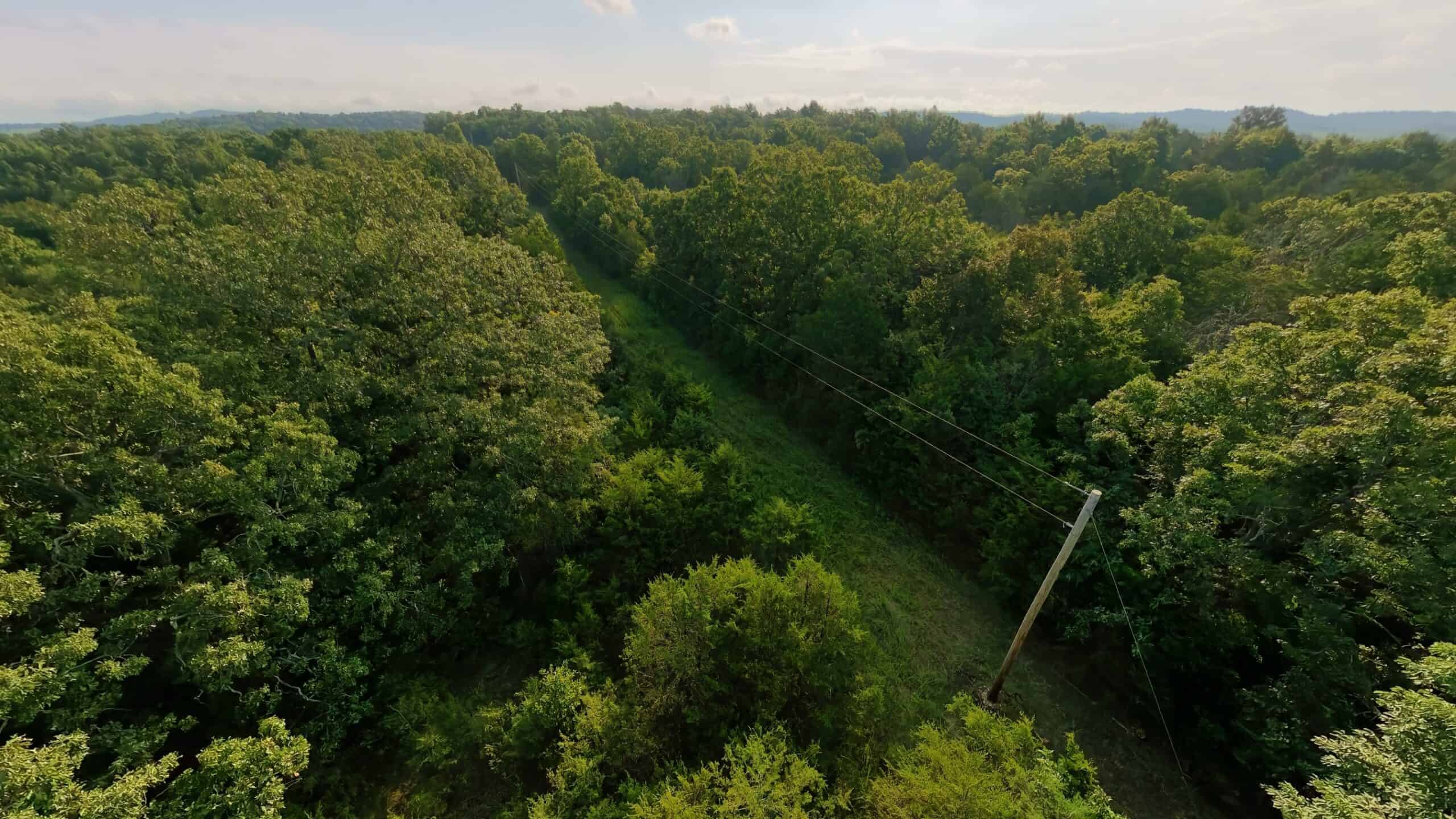 Hunting Land Near Bull Shoals Lake
