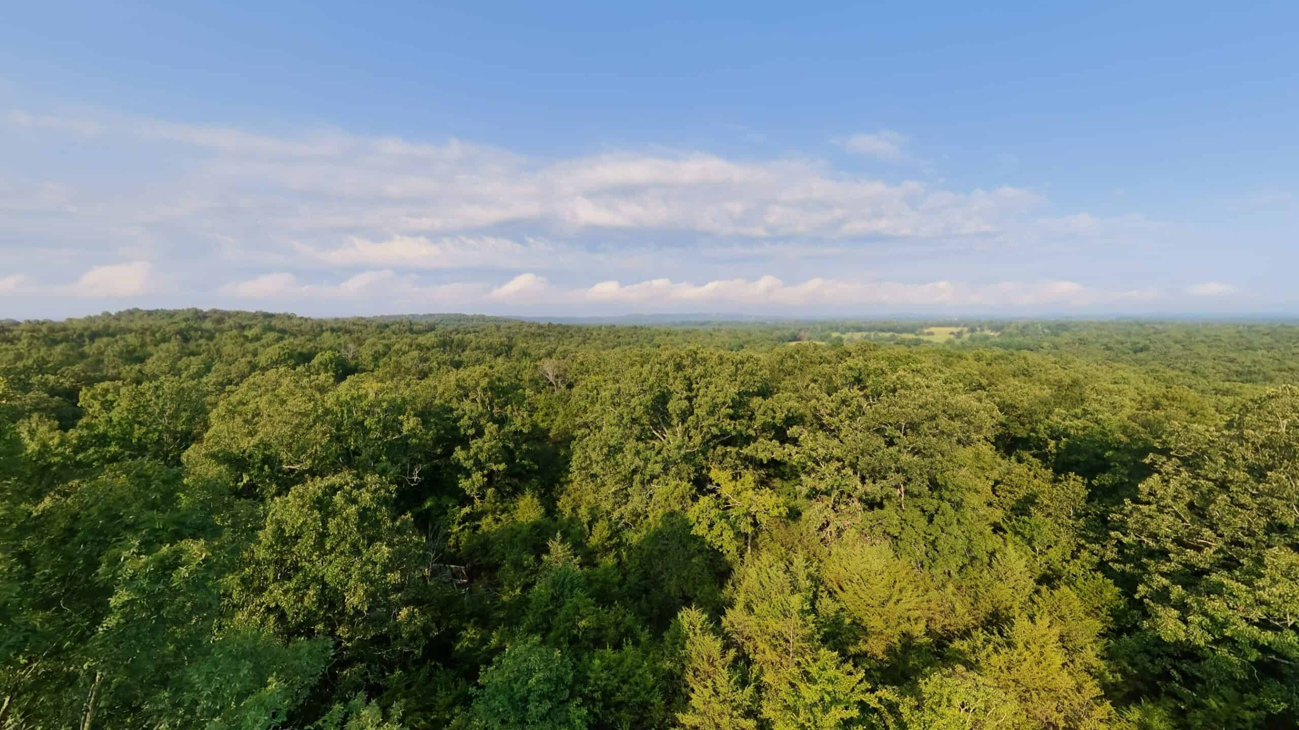 Hunting Land Near Bull Shoals Lake