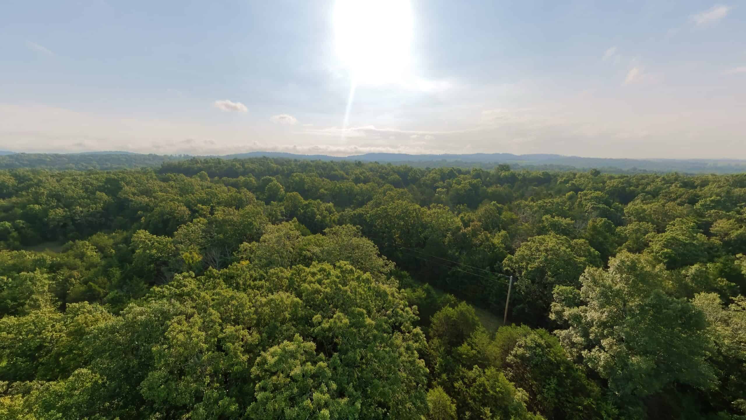 Hunting Land Near Bull Shoals Lake