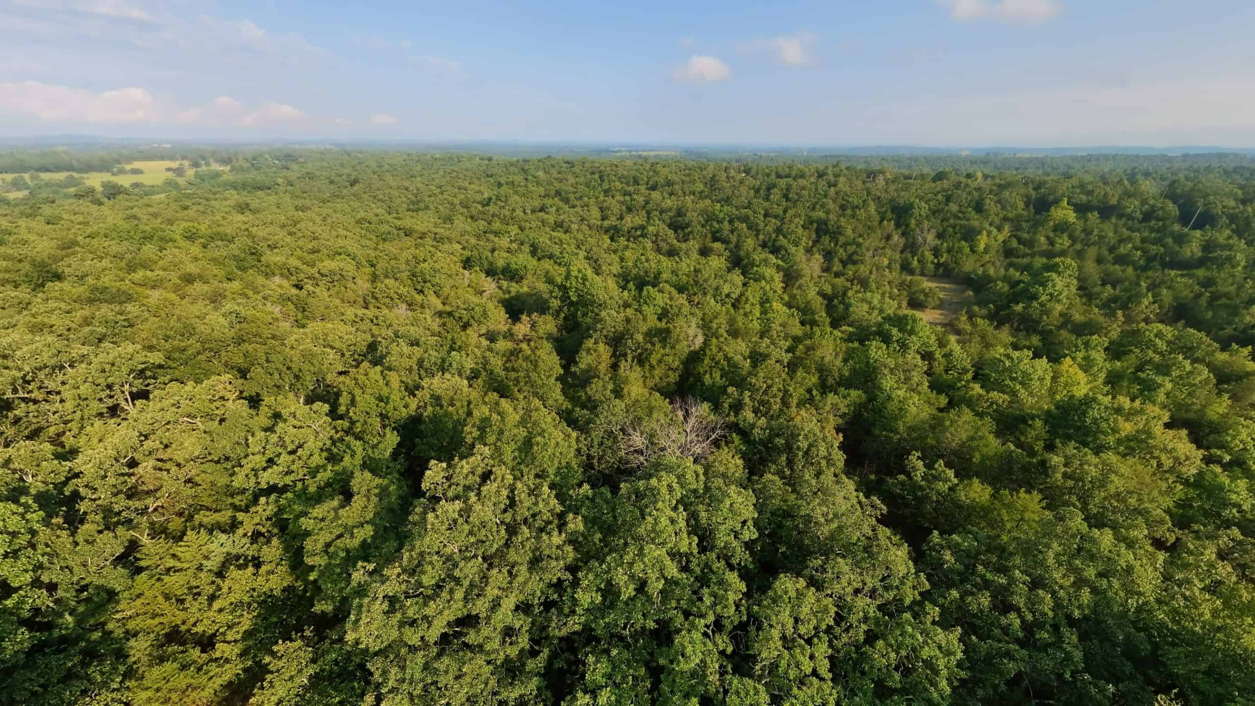 Hunting Land Near Bull Shoals Lake