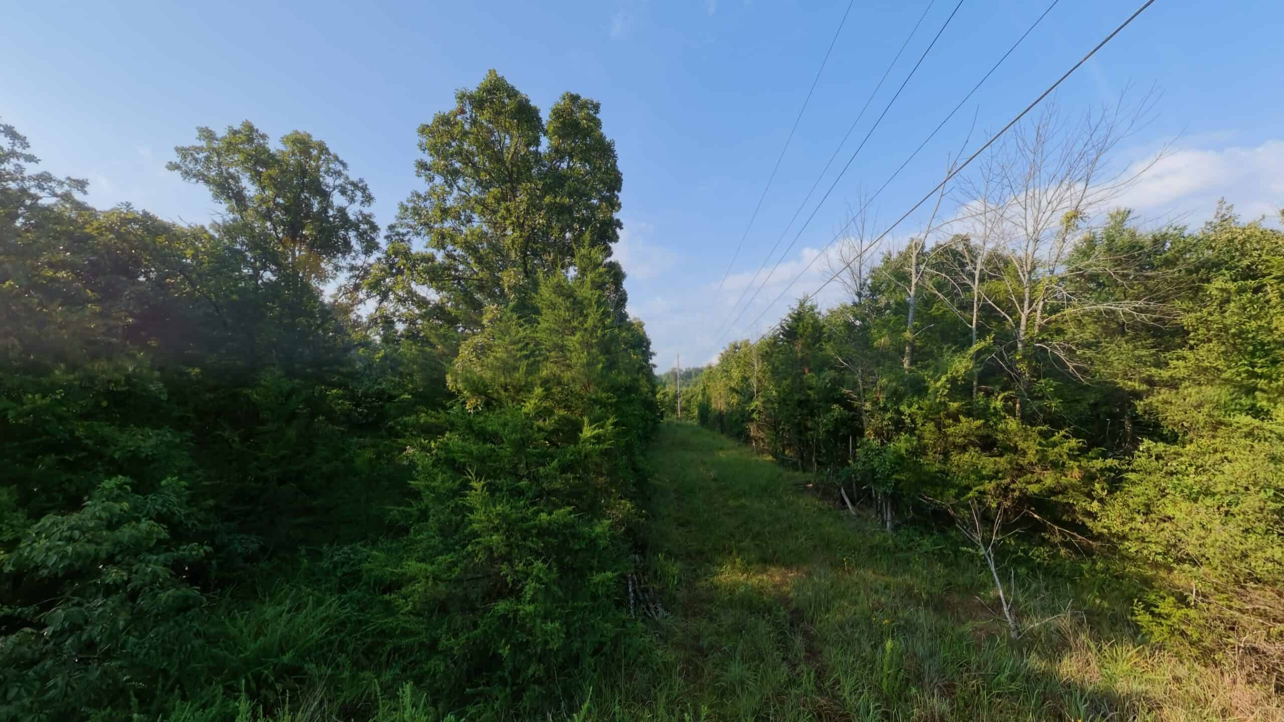 Hunting Land Near Bull Shoals Lake